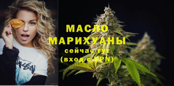 гашик Няндома