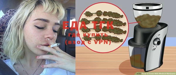 гашик Няндома