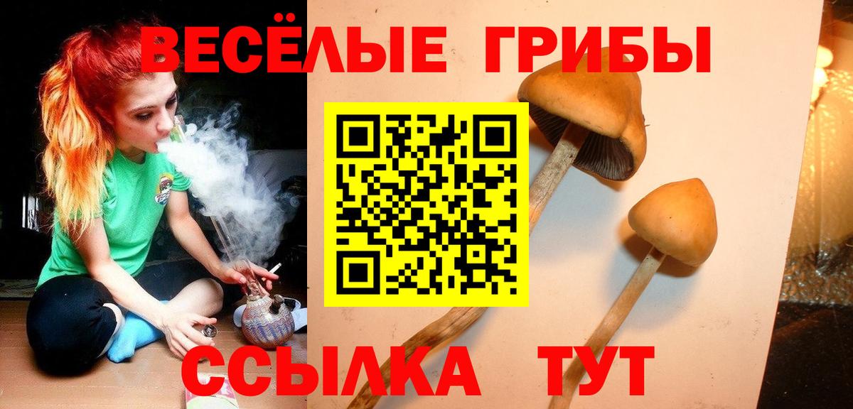 Павловский Посад  купить наркотик  Вход с VPN  Псилоцибиновые грибы мицелий 
